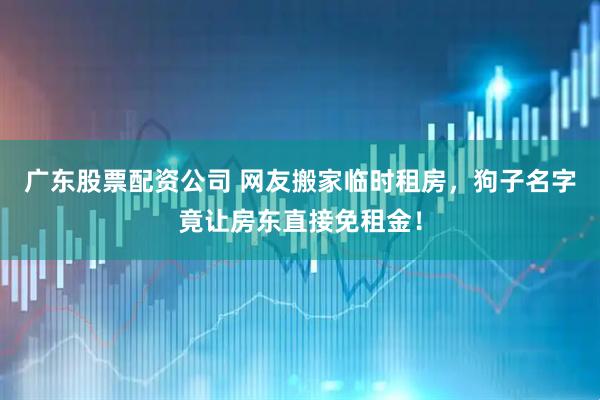广东股票配资公司 网友搬家临时租房，狗子名字竟让房东直接免租金！