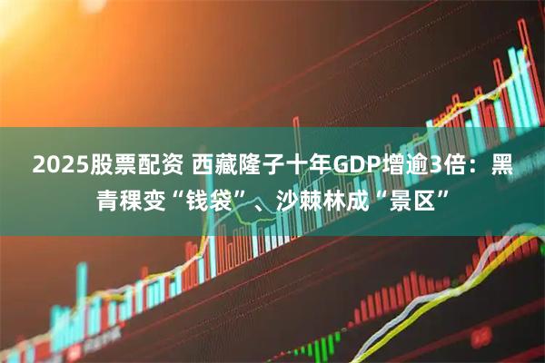 2025股票配资 西藏隆子十年GDP增逾3倍：黑青稞变“钱袋”、沙棘林成“景区”
